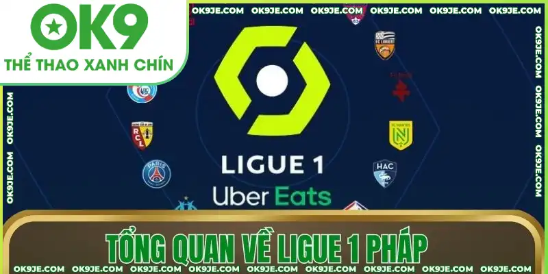 Tổng quan về Ligue 1 Pháp Tổng quan về Ligue 1 Pháp